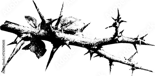 Black and white halftone illustration of thorn branch for tattoo and design projects