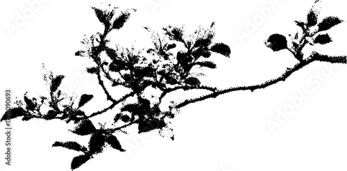 Black and white halftone tree branch illustration for retro design