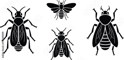 Collection of five detailed black and white drawings of different types of bees and wasps vector
