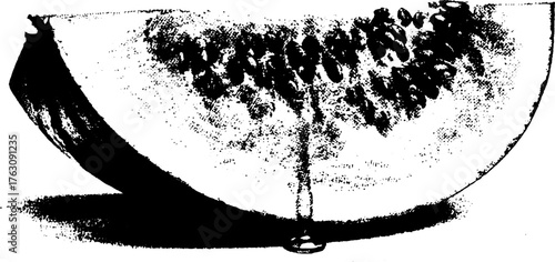Vintage black and white halftone watermelon slice illustration for retro designs