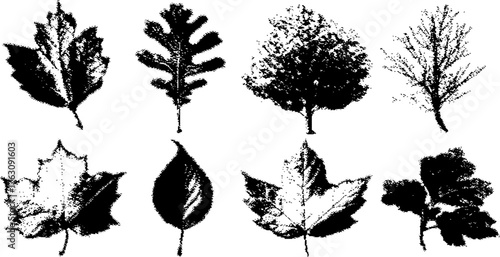 Black and white halftone leaf silhouettes for print design