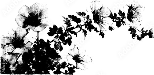Black and white floral halftone pattern for art and design projects