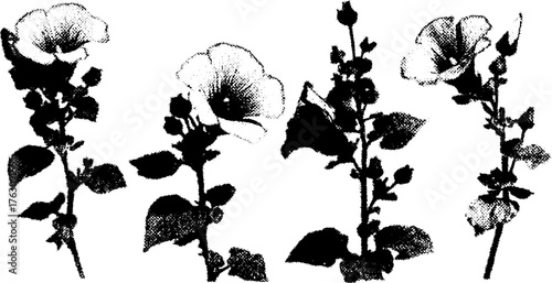 Black and white halftone floral set illustration for artistic design