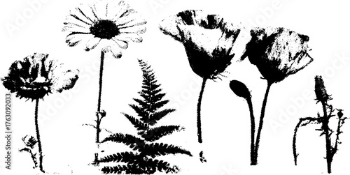 Black and white halftone wildflower and fern illustration for botanical design