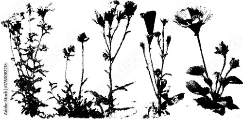 Black and white botanical halftone pattern for artistic design