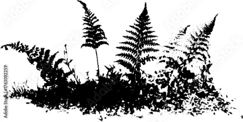 Black and white halftone pattern of fern leaves