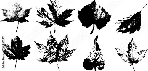 Black and white halftone leaf pattern design for posters and prints