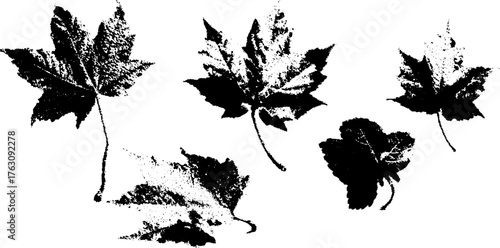 Black and white halftone pattern of maple leaves for print design