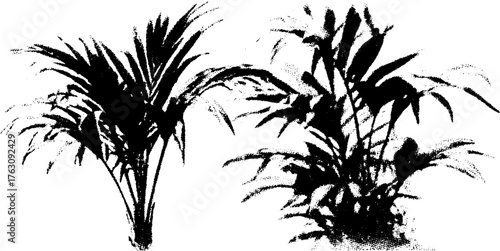 Black and white halftone tropical leaf pattern for design