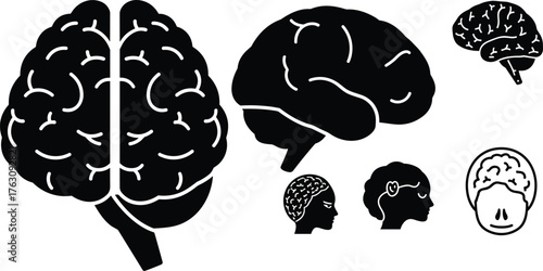 Collection of human brain silhouettes and stylized representations for medical and educational use vector