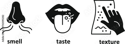 Sensory perception icons smell taste texture human senses abstract graphic representation vector