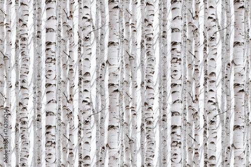 Seamless birch forest pattern with white tree trunks and dark bark markings. Repeating background design suitable for wallpaper, fabric, or digital textures