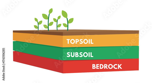 Illustration depicting layers of earth with plants growing from topsoil