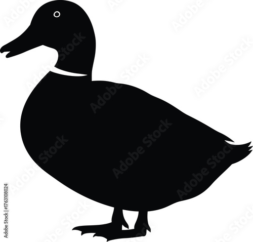 Silhouette of a mallard duck facing left with detail on beak and legs isolated flat design vector illustration isolated on transparent background