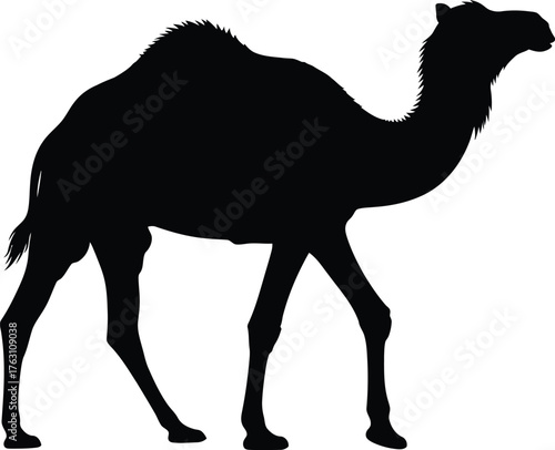 Silhouette of a majestic camel walking across the desert sands a symbol of resilience and travel flat design vector illustration isolated on transparent background