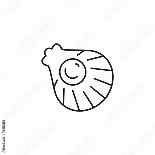 scallop shell seafood icon sign vector