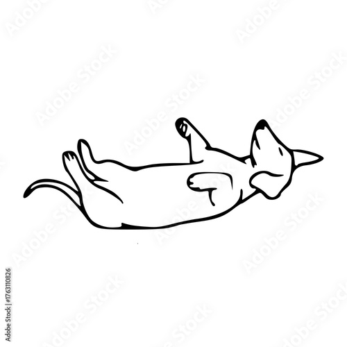 cute dachshund dog lying on its back vector illustration
