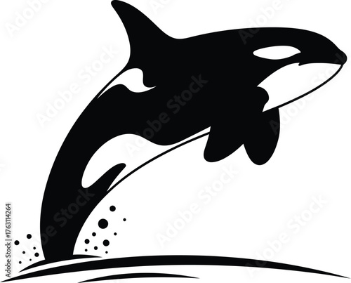 Dynamic orca killer whale leaping from water silhouette wild marine mammal ocean wildlife flat design vector illustration isolated on transparent background