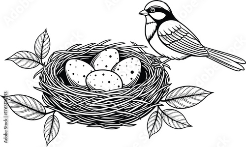 Charming bird beside nest with eggs and leaves detailed line drawing art flat design vector illustration isolated on transparent background