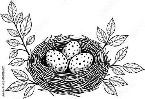 Delicate sketch of a bird nest with three speckled eggs and surrounding leaves nature art flat design vector illustration isolated on transparent background