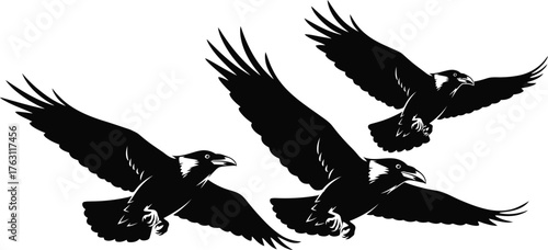 Majestic birds of prey soaring in formation dynamic flight captured in silhouette art flat design vector illustration isolated on transparent background