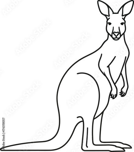 Line art sketch of a standing kangaroo facing forward ready for action flat design vector illustration isolated on transparent background