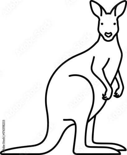 Simple outline drawing of a kangaroo standing upright with a long tail and pouch flat design vector illustration isolated on transparent background