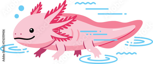 Cute pink axolotl swimming in water with ripples adorable amphibian pet cartoon character flat design vector illustration isolated on transparent background