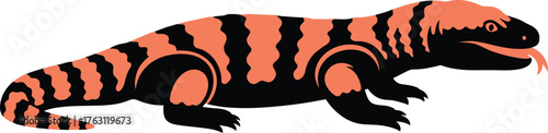 Vibrant gila monster reptile detailed close-up nature wildlife animal flat design vector illustration isolated on transparent background