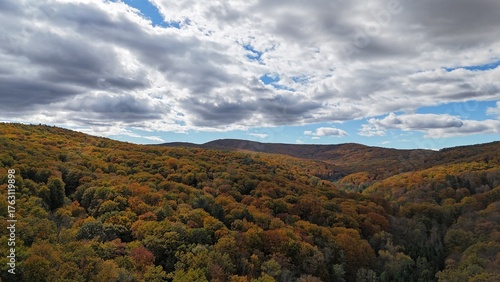 Aerial view of colorful autumn forest trees drone shoot season element