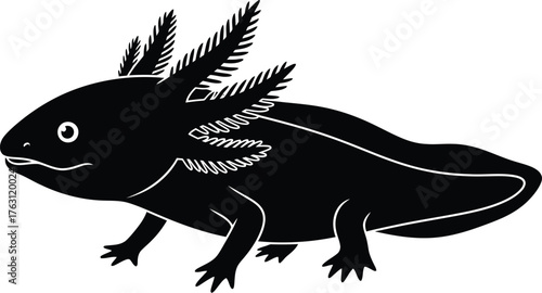 Black silhouette of a cute axolotl with feathery gills and big eyes detailed drawing flat design vector illustration isolated on transparent background