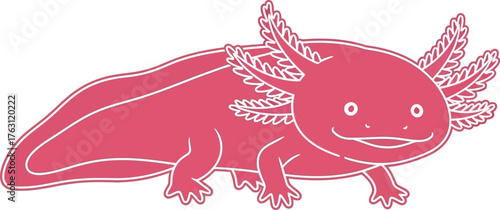 Cute pink axolotl amphibian creature with gills detailed design for animal lovers and science enthusiasts flat design vector illustration isolated on transparent background