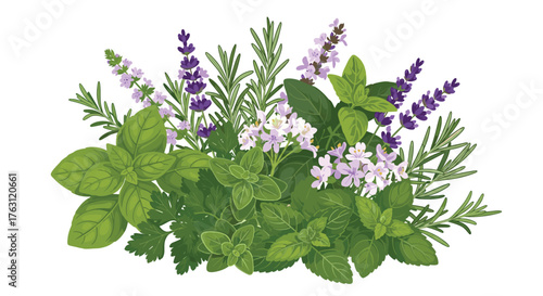 Arrangement of various herbs including basil, lavender, rosemary, mint and other green leafy plants