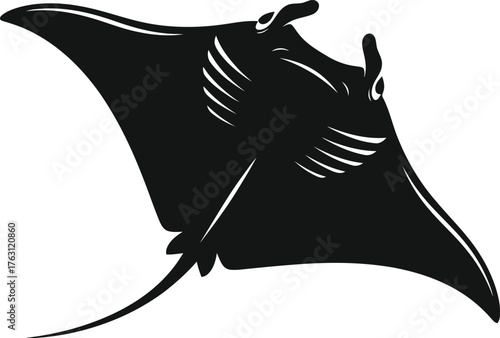 Majestic black manta ray swimming gracefully through clear ocean waters underwater wildlife flat design vector illustration isolated on transparent background