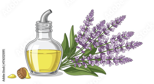 Lavender oil in a glass bottle with lavender flowers and leaves on a white background illustration