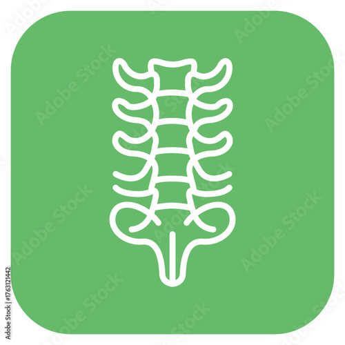 Vertebrae icon vector image. Can be used for Human Anatomy.