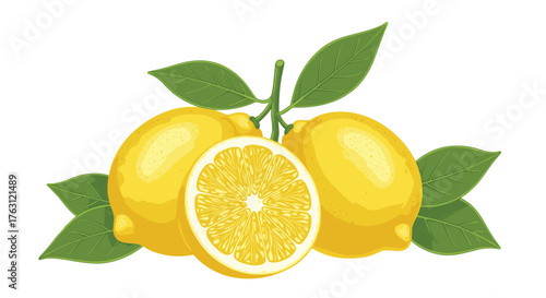 A still life illustration of lemons with green leaves on a white background in a simple style