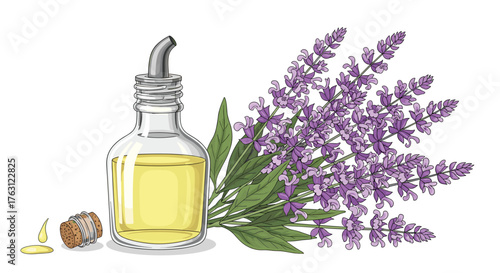 Illustration of lavender essential oil in a bottle with lavender flowers and a cork stopper