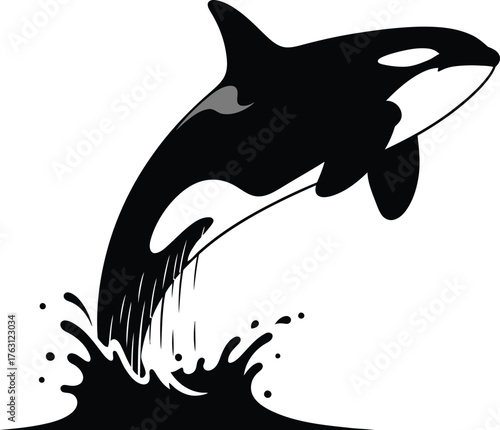 Majestic killer whale orca breaching ocean waves dynamic splash silhouette wildlife marine animal art flat design vector illustration isolated on transparent background