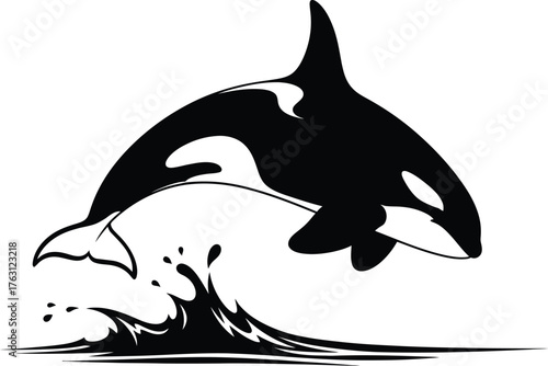 Dynamic orca whale leaping from water splashes black and white artistic design flat design vector illustration isolated on transparent background