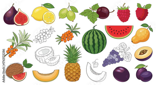 A colorful assortment of various fruits including berries citrus and tropical fruits are displayed