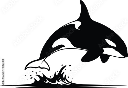 Dynamic orca whale leaping from water splash majestic marine animal ocean wildlife icon flat design vector illustration isolated on transparent background
