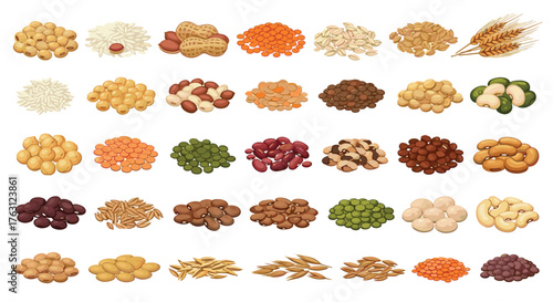 Assortment of various legumes grains and nuts displayed on a white background in a organized manner