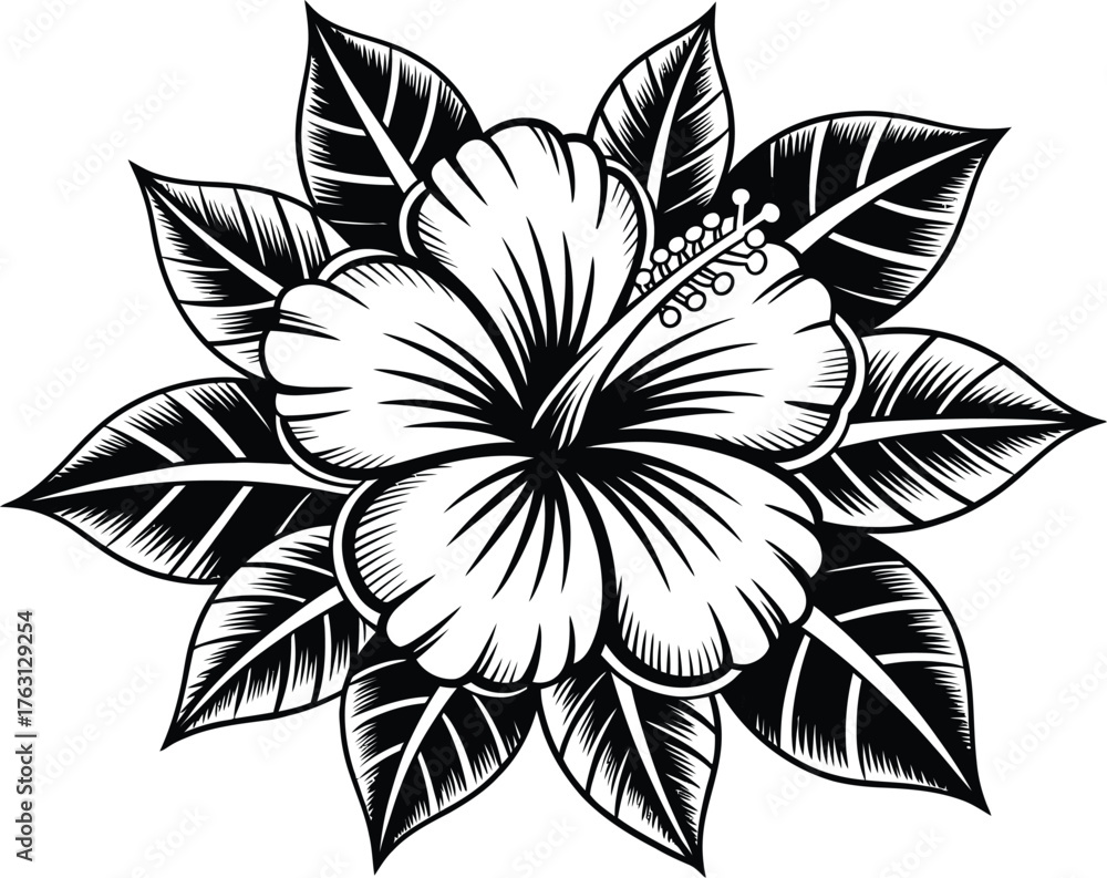 Fototapeta premium A captivating botanical illustration of a white hibiscus flower surrounded by vibrant green leaves