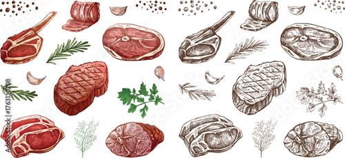 Assorted raw meat cuts with herbs on black