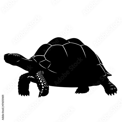 Silhouette of a large tortoise walking with its head extended and legs visible against a white background