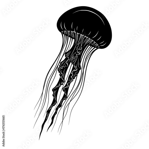 Detailed black and white ink illustration of a jellyfish with long tentacles floating in water