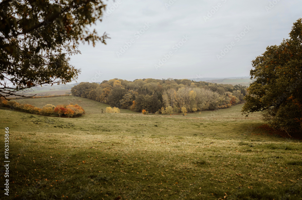Fototapeta premium Scenic autumn view of a vast countryside featuring hills, grazing animal and a moody sky, showcasing natural beauty and tranquility.