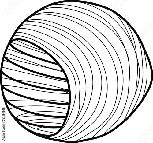 3D hollow torus, abstract geometry, contour line design, technical flat sketch, vector illustration, cad drawing, mathematical visualization, topology template