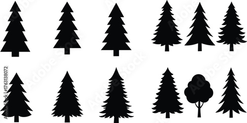 Set of pine tree silhouettes, black vector evergreen trees collection for forest design, landscape art, and nature illustration